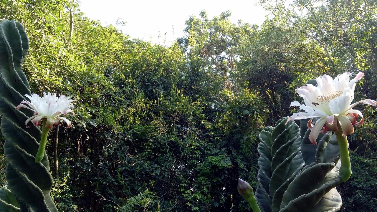 Posada Camboata Аристобуло-дель-Валье Экстерьер фото